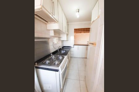 Cozinha de apartamento para alugar com 2 quartos, 50m² em Vila Paulo Silas, São Paulo