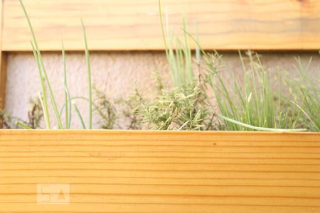 Apartamento para alugar com 26m², 1 quarto e sem vagaHorta