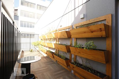 Apartamento para alugar com 26m², 1 quarto e sem vagaHorta