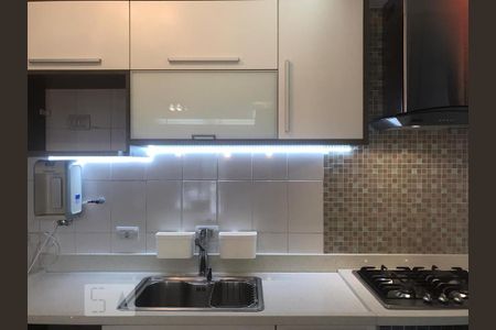 Cozinha  de apartamento para alugar com 3 quartos, 83m² em Paraíso do Morumbi, São Paulo