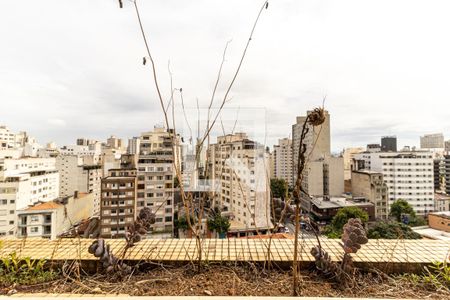 Sala - Jardineira de apartamento à venda com 3 quartos, 120m² em Higienópolis, São Paulo