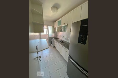 Cozinha de apartamento para alugar com 2 quartos, 54m² em Chácara Santo Antônio (zona Sul), São Paulo