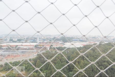Vista da Suíte de apartamento para alugar com 2 quartos, 70m² em Planalto, São Bernardo do Campo