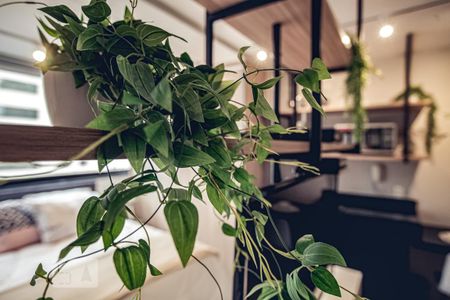 Detalhe de kitnet/studio para alugar com 1 quarto, 30m² em Vila Olímpia, São Paulo