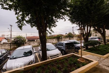 Apartamento para alugar com 75m², 3 quartos e 1 vagaVista Suíte