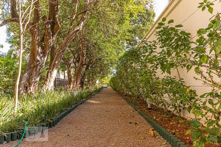 Apartamento à venda com 115m², 3 quartos e 2 vagasÁrea comum - Área para Caminhada