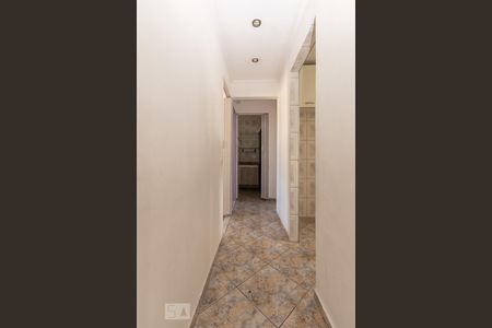 Corredor de apartamento para alugar com 3 quartos, 56m² em Conjunto Habitacional Padre José de Anchieta, São Paulo