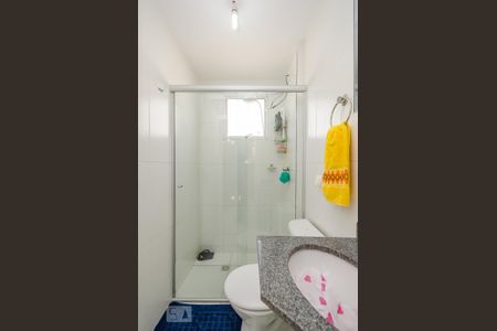 Banheiro Social de apartamento para alugar com 2 quartos, 45m² em Cinquentenário, Belo Horizonte