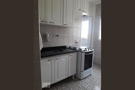 cozinha de apartamento para alugar com 2 quartos, 65m² em Jardim Paulicéia, Campinas