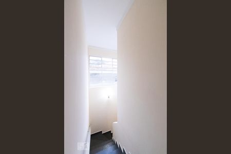 Escada de casa à venda com 3 quartos, 169m² em Jardim Avelino, São Paulo