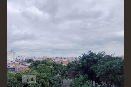 Vista de apartamento para alugar com 3 quartos, 98m² em Vila Romero, São Paulo