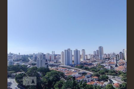 Vista de apartamento para alugar com 3 quartos, 127m² em Vila Paulicéia, São Paulo