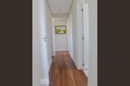 Corredor de apartamento para alugar com 3 quartos, 127m² em Vila Paulicéia, São Paulo