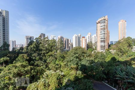 Vista de apartamento para alugar com 1 quarto, 43m² em Paraíso do Morumbi, São Paulo