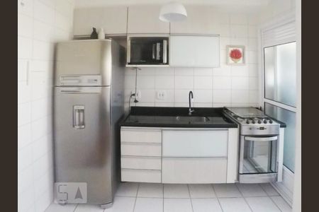 Cozinha de apartamento para alugar com 2 quartos, 50m² em Planalto, São Bernardo do Campo
