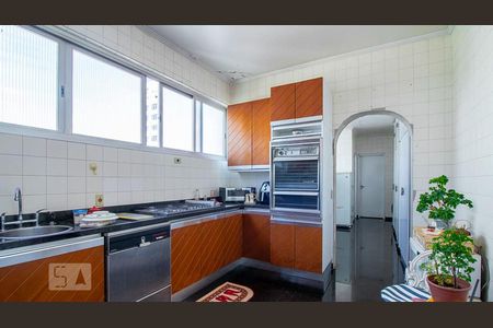 Apartamento à venda com 260m², 3 quartos e 1 vagaCozinha