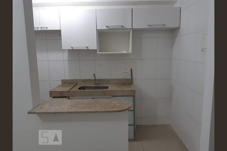 Cozinha de apartamento para alugar com 2 quartos, 46m² em São Cristóvão, Rio de Janeiro