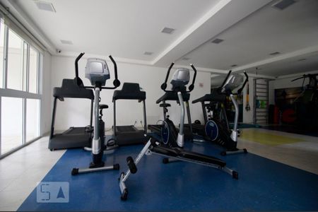 Academia de apartamento para alugar com 2 quartos, 64m² em Jardim Parque Morumbi, São Paulo