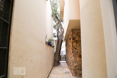 Casa para alugar com 299m², 3 quartos e 6 vagas