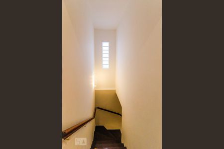 Escada segundo andar de casa para alugar com 4 quartos, 220m² em Jardim Bélgica, São Paulo