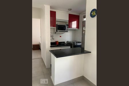 Cozinha de apartamento para alugar com 2 quartos, 47m² em Campos Elíseos, São Paulo