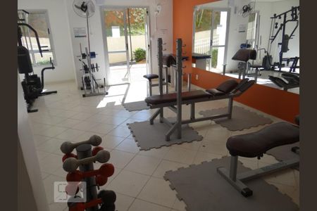 Área comum - Academia de apartamento à venda com 3 quartos, 78m² em Parque Brasília, Campinas