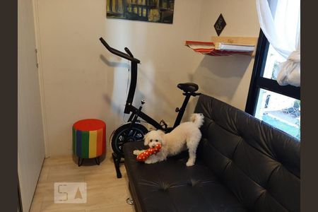 Apartamento para alugar com 50m², 2 quartos e 1 vaga Apartamento para alugar com 50m², 2 quartos e 1 vagaQuarto 1