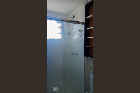 Banheiro de apartamento para alugar com 2 quartos, 48m² em Itaquera, São Paulo