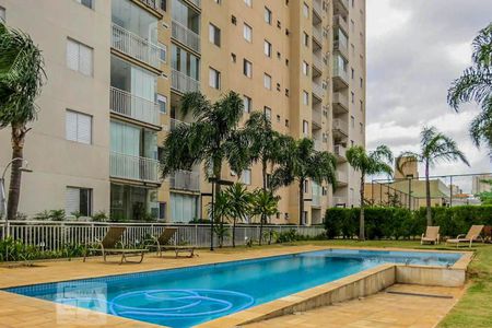 Piscina de apartamento para alugar com 2 quartos, 65m² em Rio Pequeno, São Paulo