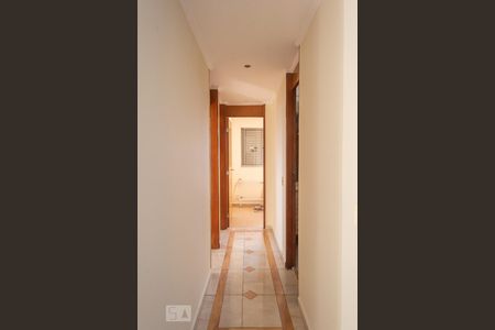 Corredor de apartamento para alugar com 3 quartos, 64m² em Vila Ivone, São Paulo