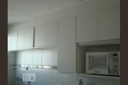 cozinha de apartamento para alugar com 2 quartos, 47m² em Jardim Nova Europa, Campinas