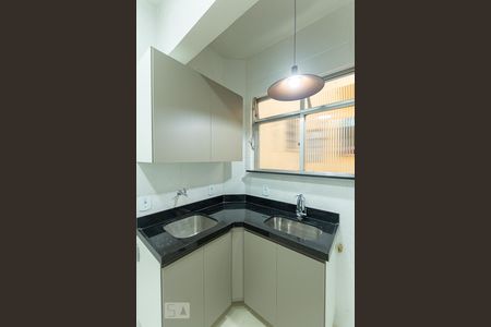 Apartamento à venda com 50m², 2 quartos e sem vagaCozinha 