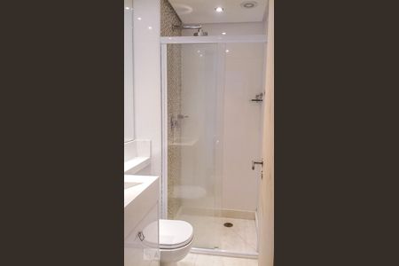 Banheiro de apartamento para alugar com 1 quarto, 35m² em Quinta da Paineira, São Paulo