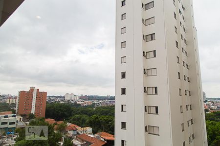 Vista da sala de apartamento para alugar com 1 quarto, 50m² em Vila Monte Alegre, São Paulo