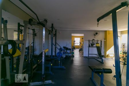 Área comum - Academia de apartamento para alugar com 3 quartos, 60m² em Vila Nova, Campinas