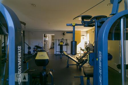 Área comum - Academia de apartamento para alugar com 3 quartos, 60m² em Vila Nova, Campinas