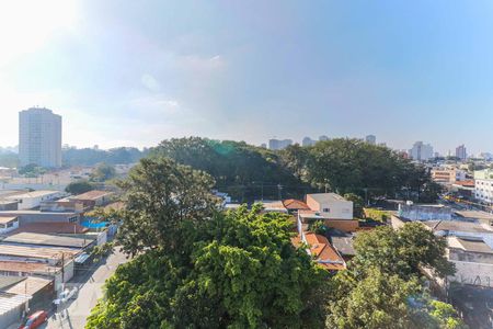 Vista Sala de apartamento para alugar com 1 quarto, 57m² em Vila Cruzeiro, São Paulo