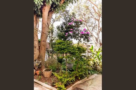 Casa à venda com 150m², 2 quartos e 2 vagasQuintal