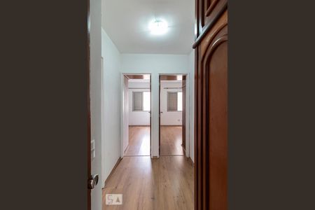Corredor de apartamento para alugar com 3 quartos, 86m² em Jardim Taquaral, São Paulo