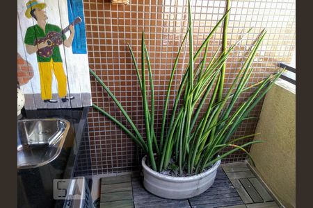 varanda de apartamento para alugar com 1 quarto, 73m² em Paraíso do Morumbi, São Paulo