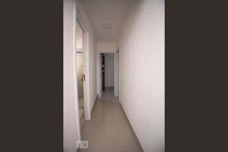 corredor de apartamento para alugar com 2 quartos, 59m² em Jardim Paulicéia, Campinas