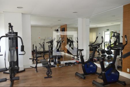 Apartamento para alugar com 33m², 1 quarto e sem vagaAcademia