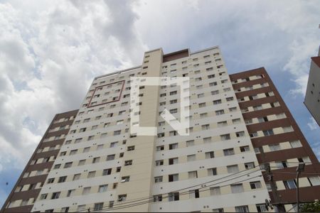 Apartamento para alugar com 33m², 1 quarto e sem vagaFachada 