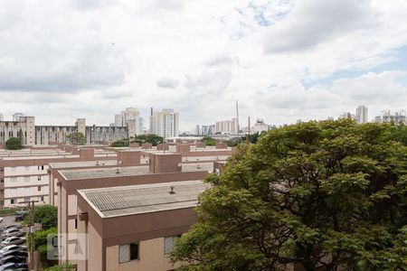 Apartamento para alugar com 75m², 2 quartos e 1 vagaVista do Quarto 1