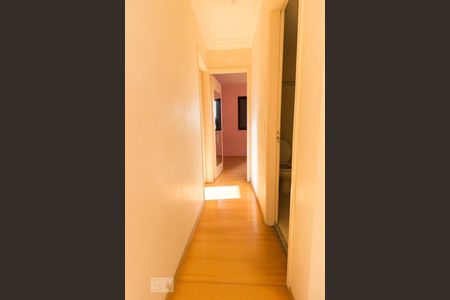 Corredor de apartamento à venda com 2 quartos, 55m² em Lauzane Paulista, São Paulo