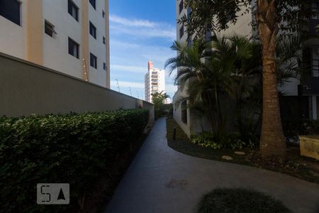 Apartamento para alugar com 45m², 1 quarto e 1 vagaPista de corrida