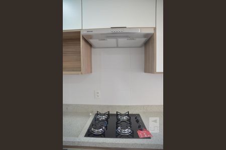 Detalhe Cozinha de apartamento para alugar com 2 quartos, 40m² em Cambuci, São Paulo