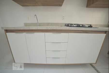 Cozinha - Armários de apartamento para alugar com 2 quartos, 40m² em Cambuci, São Paulo