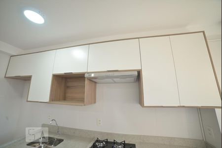 Cozinha - Armários de apartamento para alugar com 2 quartos, 40m² em Cambuci, São Paulo