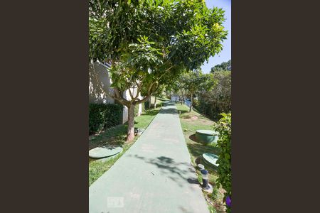 Apartamento para alugar com 52m², 1 quarto e 1 vaga Apartamento para alugar com 52m², 1 quarto e 1 vagaÁrea comum - espaço pet e pista de cooper